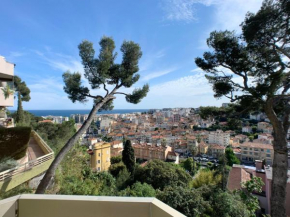 NICE, GRAND STUDIO - PISCINE - TERRASSE VUE MER